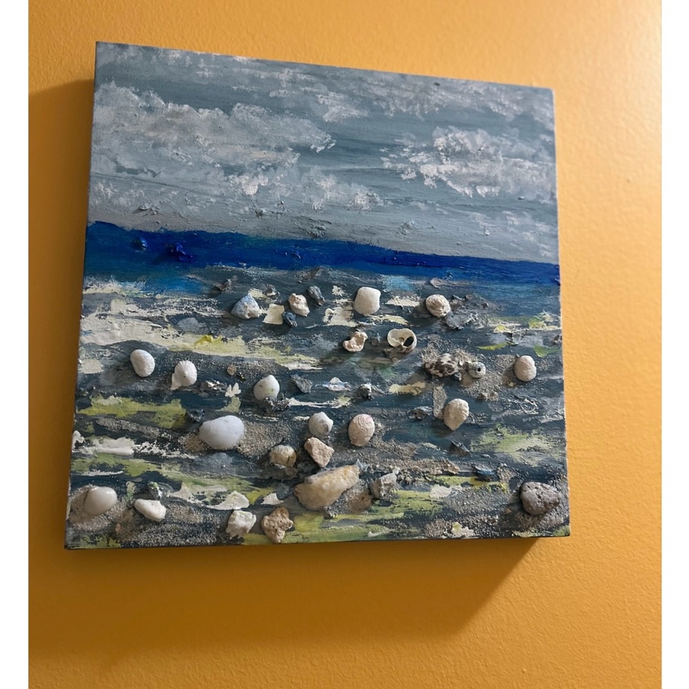 Seashell and Pebble Canvas Art